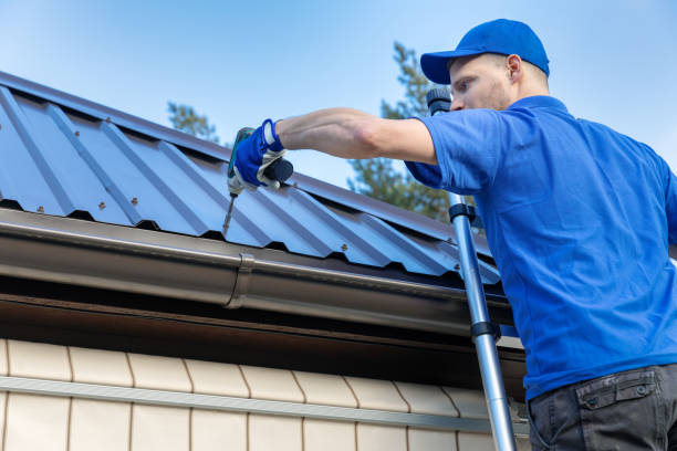 Best Roof Moss and Algae Removal  in Pine Ridge, SC